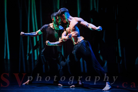 The New Zealand Dance Company In Transit by Louise Potiki Bryan