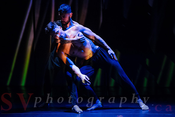 The New Zealand Dance Company In Transit by Louise Potiki Bryan