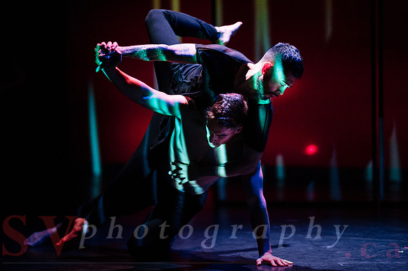 The New Zealand Dance Company In Transit by Louise Potiki Bryan
