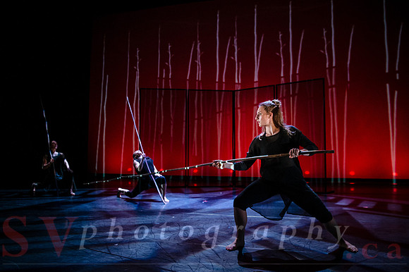 The New Zealand Dance Company In Transit by Louise Potiki Bryan