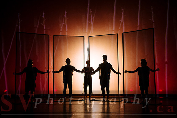 The New Zealand Dance Company In Transit by Louise Potiki Bryan