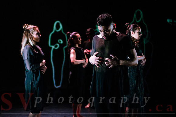 The New Zealand Dance Company In Transit by Louise Potiki Bryan