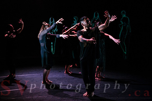 The New Zealand Dance Company In Transit by Louise Potiki Bryan