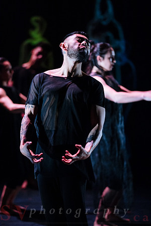 The New Zealand Dance Company In Transit by Louise Potiki Bryan