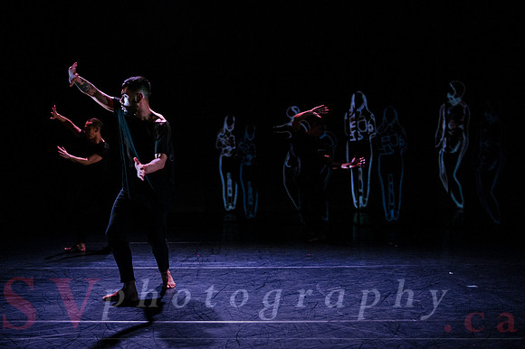 The New Zealand Dance Company In Transit by Louise Potiki Bryan