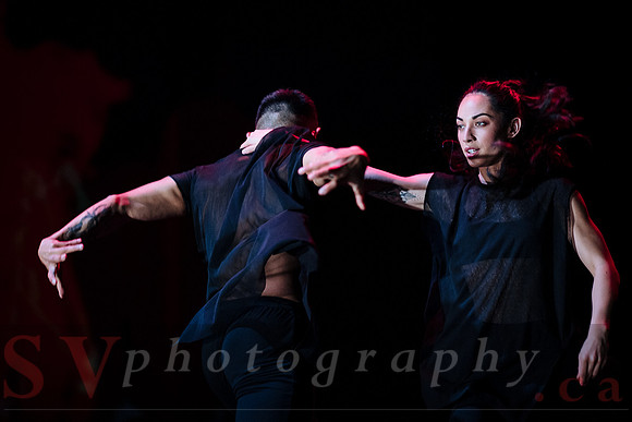 The New Zealand Dance Company In Transit by Louise Potiki Bryan