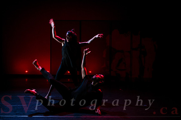 The New Zealand Dance Company In Transit by Louise Potiki Bryan