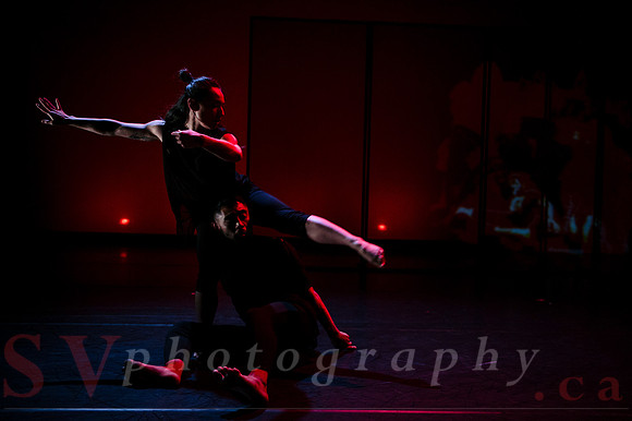 The New Zealand Dance Company In Transit by Louise Potiki Bryan
