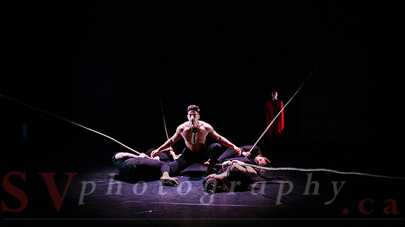 The New Zealand Dance Company In Transit by Louise Potiki Bryan