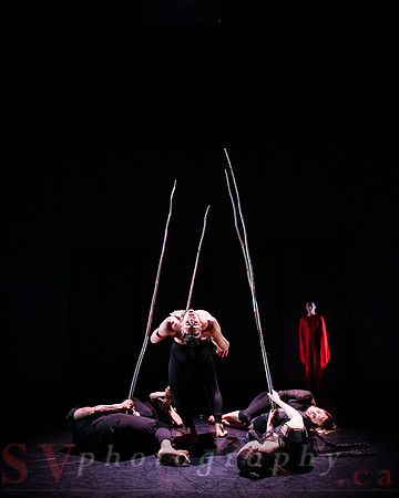 The New Zealand Dance Company In Transit by Louise Potiki Bryan