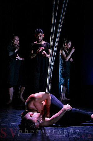 The New Zealand Dance Company In Transit by Louise Potiki Bryan