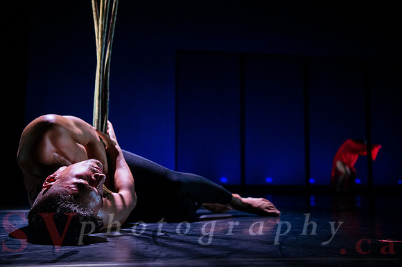 The New Zealand Dance Company In Transit by Louise Potiki Bryan