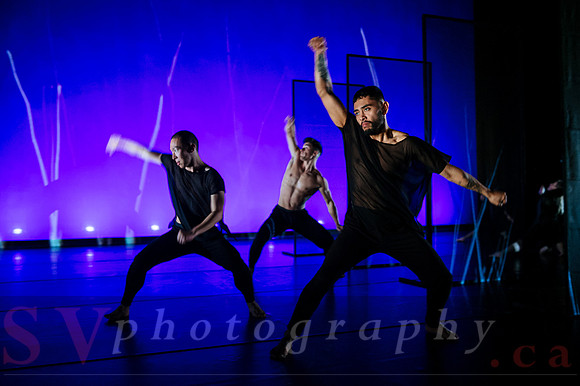 The New Zealand Dance Company In Transit by Louise Potiki Bryan