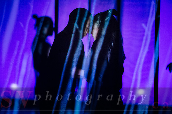 The New Zealand Dance Company In Transit by Louise Potiki Bryan