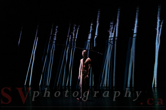 The New Zealand Dance Company In Transit by Louise Potiki Bryan
