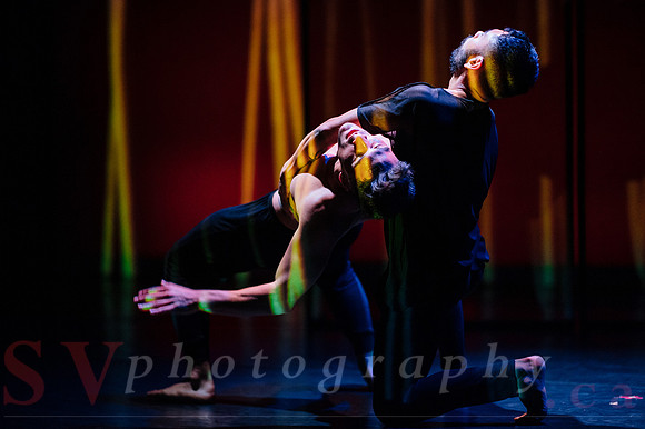The New Zealand Dance Company In Transit by Louise Potiki Bryan