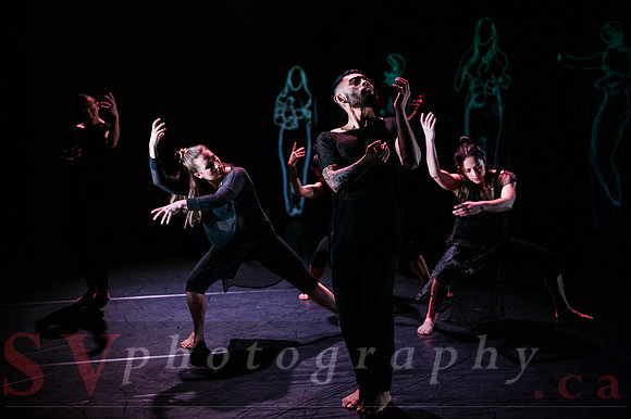 The New Zealand Dance Company In Transit by Louise Potiki Bryan