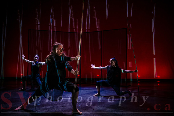 The New Zealand Dance Company In Transit by Louise Potiki Bryan