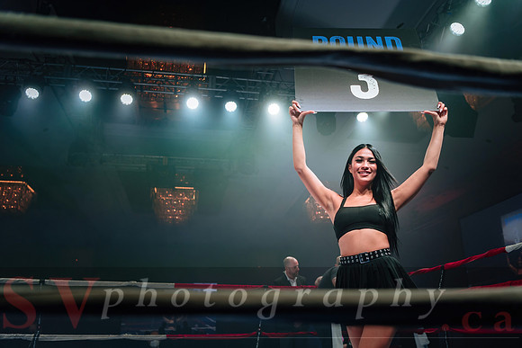 Shaw Boxing 2022