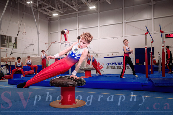 Gymnastics Mississauga