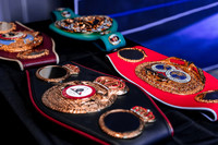 Shaw Boxing 2022