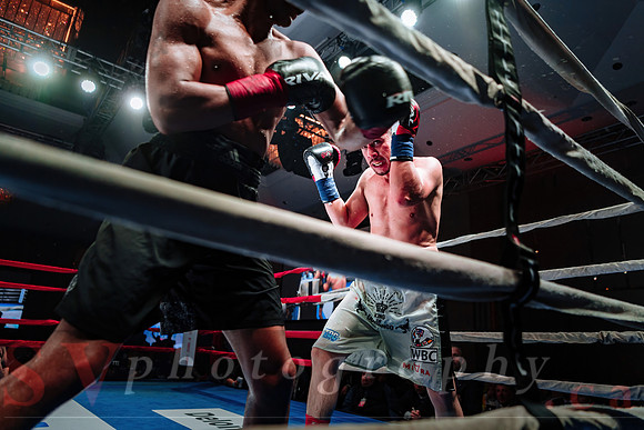 Shaw Boxing 2022