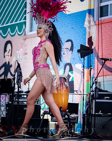 15th Annual Salsa On St. Clair- Sunday