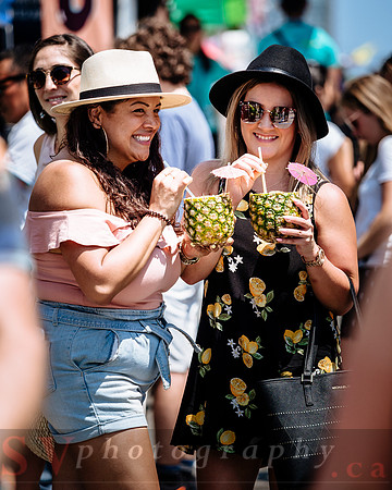 15th Annual Salsa On St. Clair- Sunday