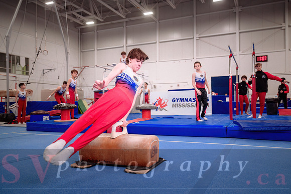 Gymnastics Mississauga