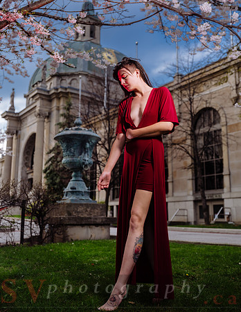 Lady in Red