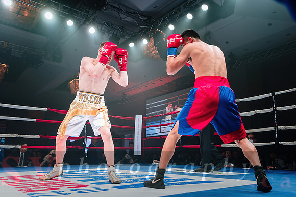 Shaw Boxing 2022