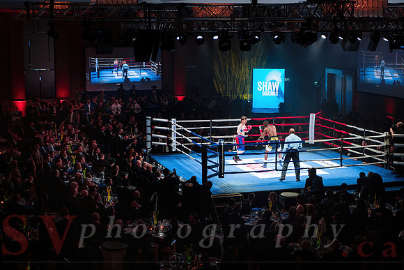 Shaw Boxing 2022
