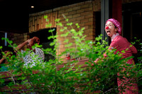 Porch View Dances 2024