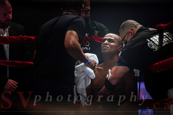 Shaw Boxing 2022