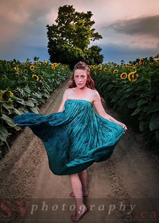 Sunflower Farm