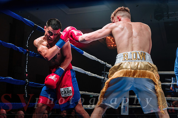 Shaw Boxing 2022