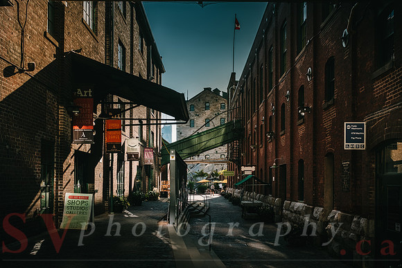 Toronto Street Photos
