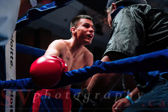 Shaw Boxing 2022