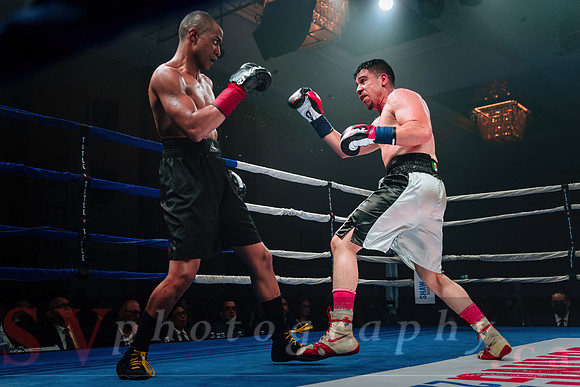 Shaw Boxing 2022