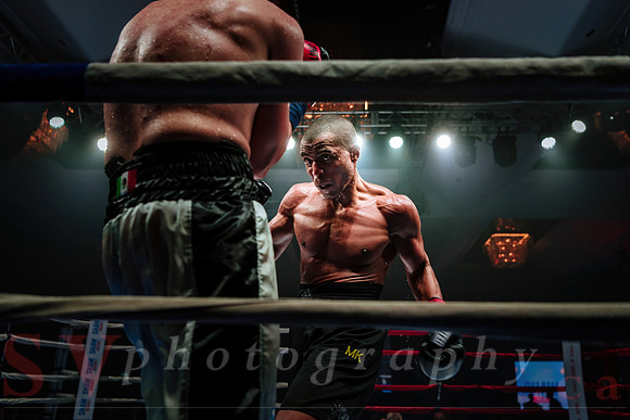 Shaw Boxing 2022