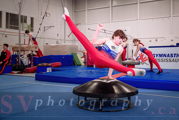 Gymnastics Mississauga