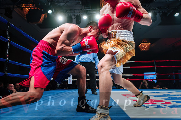 Shaw Boxing 2022