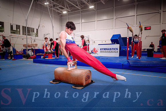Gymnastics Mississauga