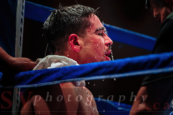 Shaw Boxing 2022