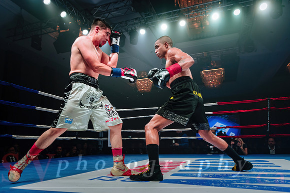 Shaw Boxing 2022