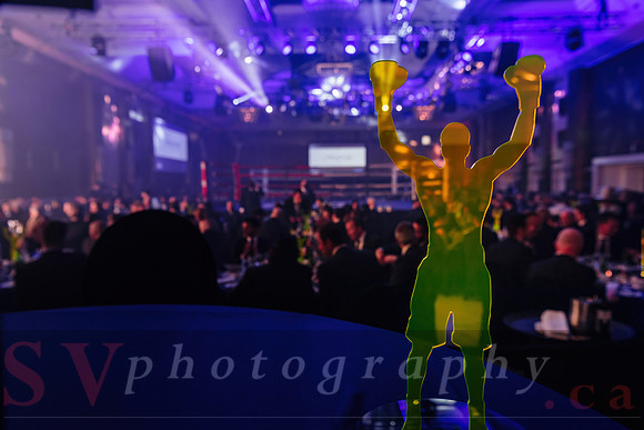 Shaw Boxing 2022