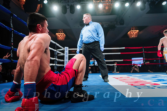 Shaw Boxing 2022