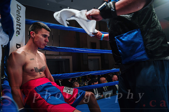 Shaw Boxing 2022