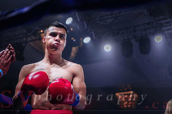 Shaw Boxing 2022