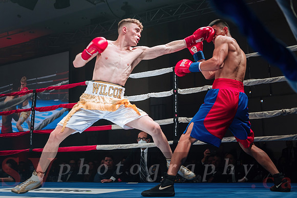 Shaw Boxing 2022